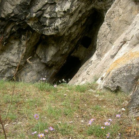 Пещера на Мантуровом камне и альпийская астра.