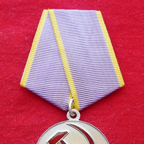 Медаль «За трудовое отличие».