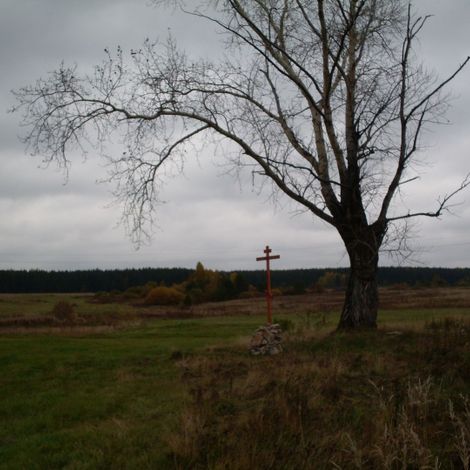 Памятный крест близ с. Родники.