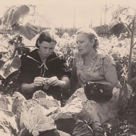 Мартынова О.М. с подругой Черевой Христиной Васильевной. пос. Буланаш. 1953г.